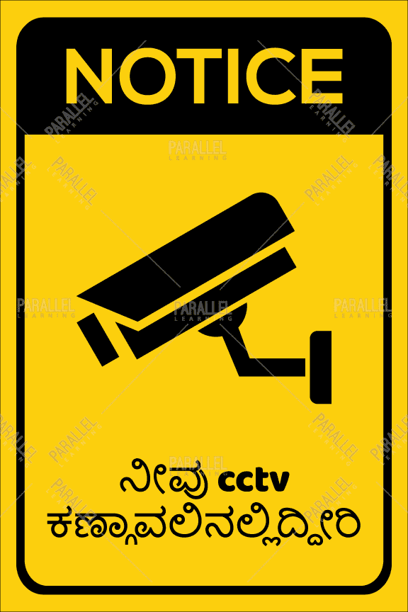 CCTV Surveillance - Parallel Learning