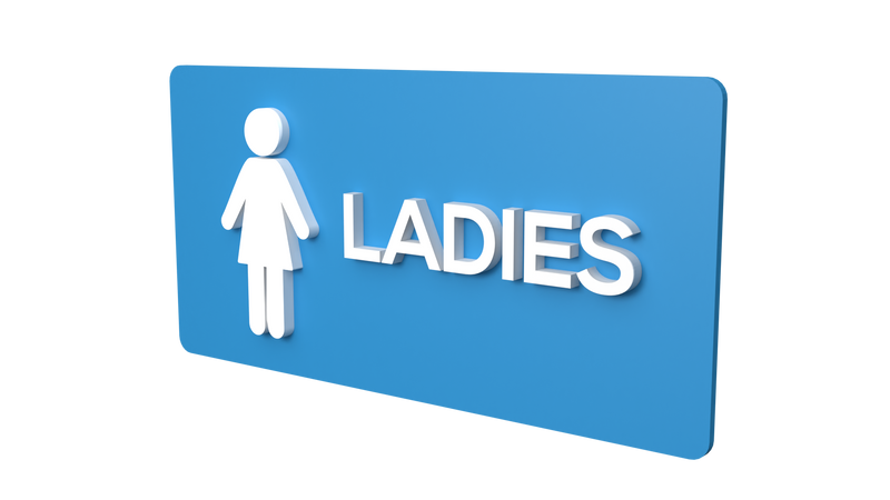 Ladies Toilet - Parallel Learning
