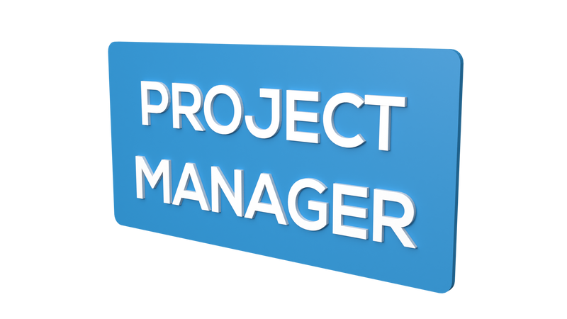PROJECT MANAGER - Parallel Learning