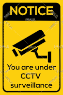 CCTV Surveillance - Parallel Learning