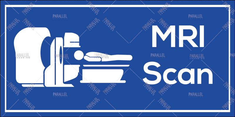 MRI Scan