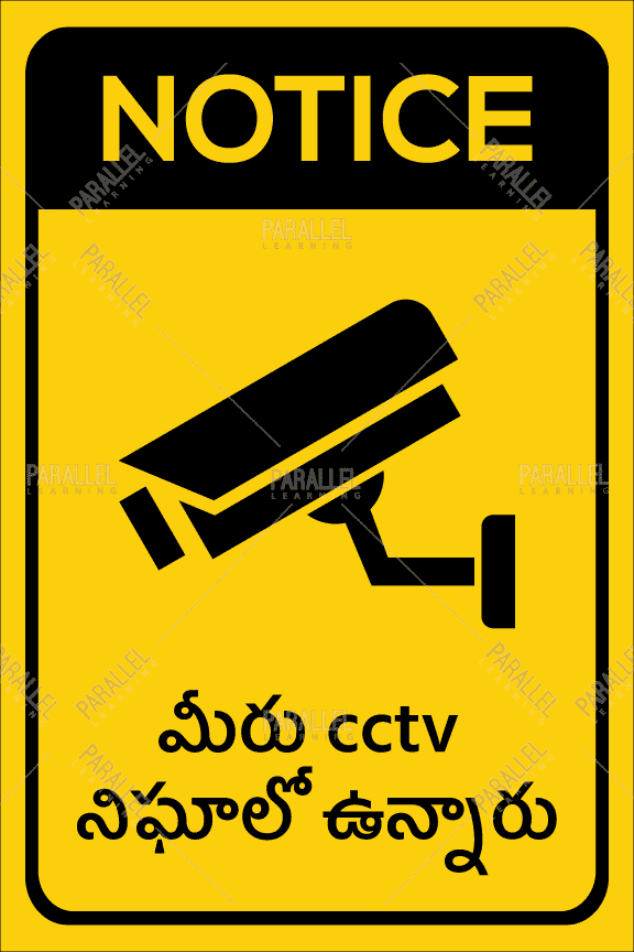 CCTV Surveillance - Parallel Learning