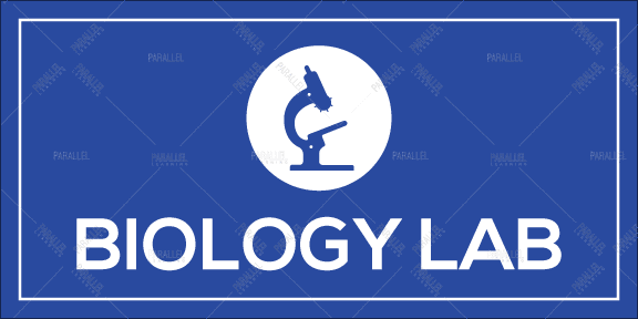 Biology Lab - Parallel Learning