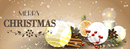 Christmas Banner_08 - Parallel Learning