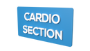 Cardio Section - Parallel Learning