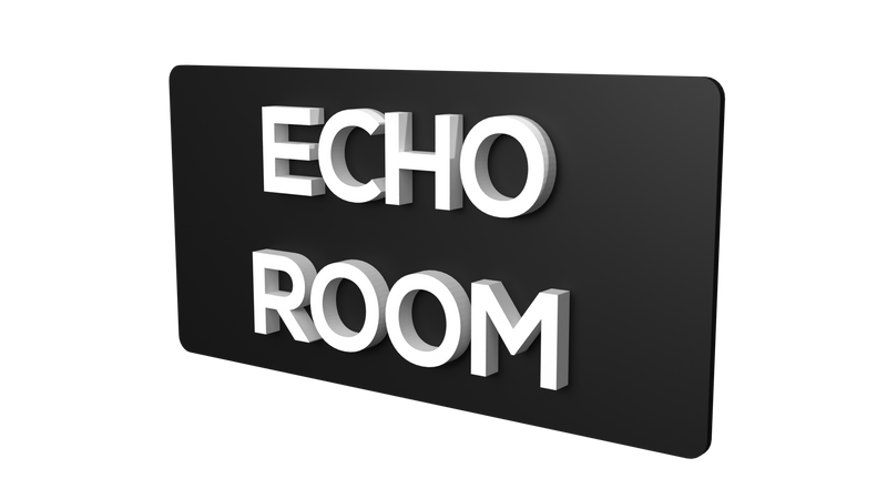Echo Room - Parallel Learning