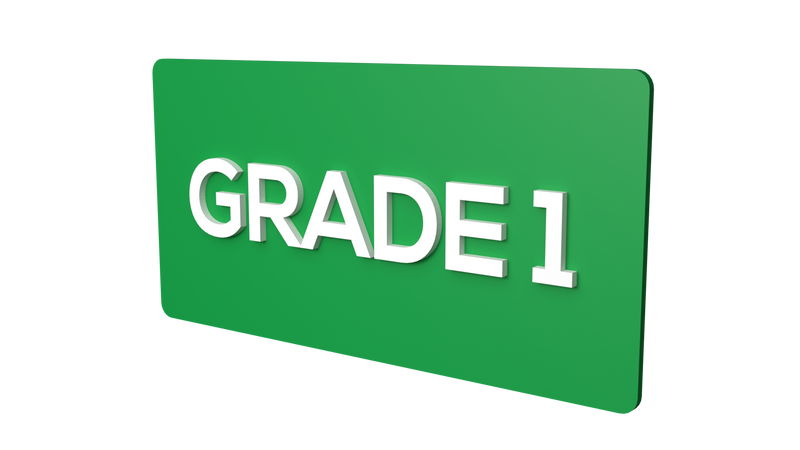 Grade 1 - Parallel Learning