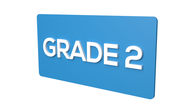 Grade 2 - Parallel Learning