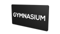 GYMNASIUM - Parallel Learning