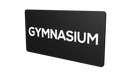 GYMNASIUM - Parallel Learning