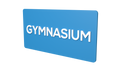GYMNASIUM - Parallel Learning