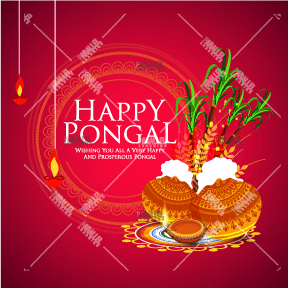 Happy Pongal 