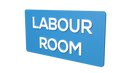 Labour Room - Parallel Learning