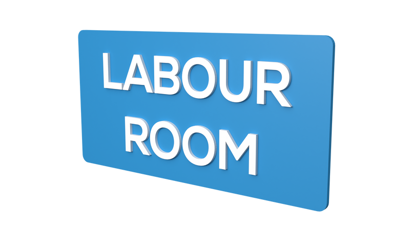 Labour Room - Parallel Learning