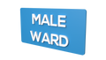 Male Ward - Parallel Learning