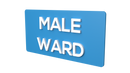 Male Ward - Parallel Learning