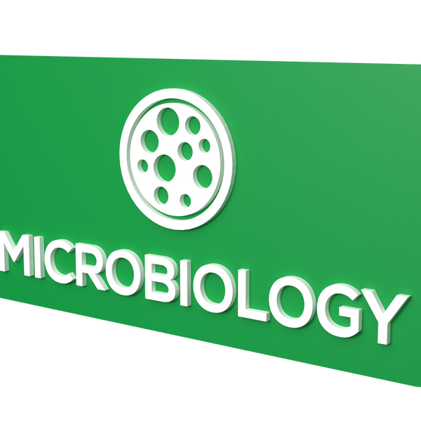 Logo Design – Space Microbes