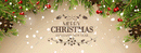 Christmas Banner_06 - Parallel Learning