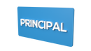 Principal - Parallel Learning