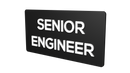 SENIOR ENGINEER - Parallel Learning