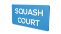 SQUASH COURT - Parallel Learning