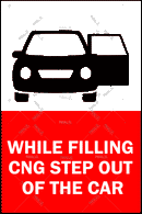 Step out of car - Parallel Learning