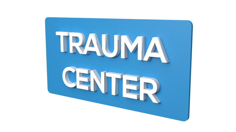 Trauma Center - Parallel Learning