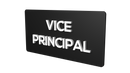 Vice Principal - Parallel Learning