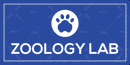 Zoology Lab - Parallel Learning