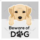 Beware of Dog - Parallel Learning