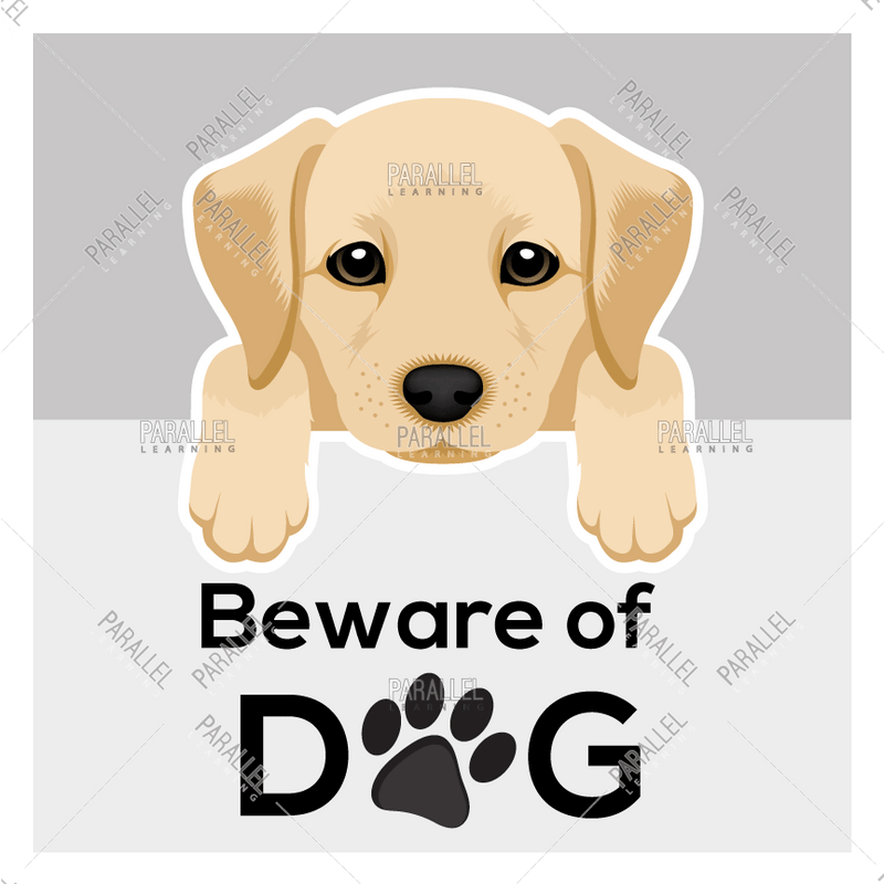 Beware of Dog - Parallel Learning