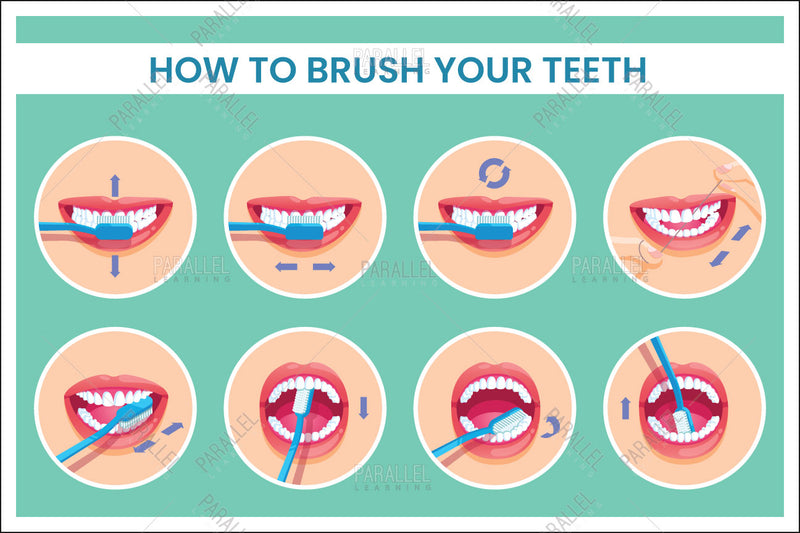 How To Brush Your Teeth - Parallel Learning