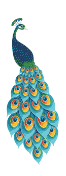 Peacock_Right - Parallel Learning