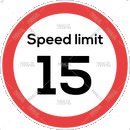 Speed Limit 15 - Parallel Learning